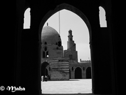 Who Is The Salafi?