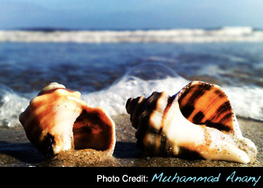 Islamic Matrimony: Love And Faith Combined!