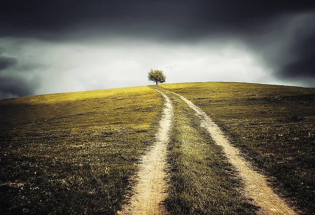 The Road Less Traveled