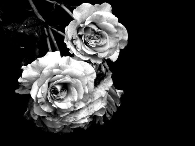 Some Thoughts On Death