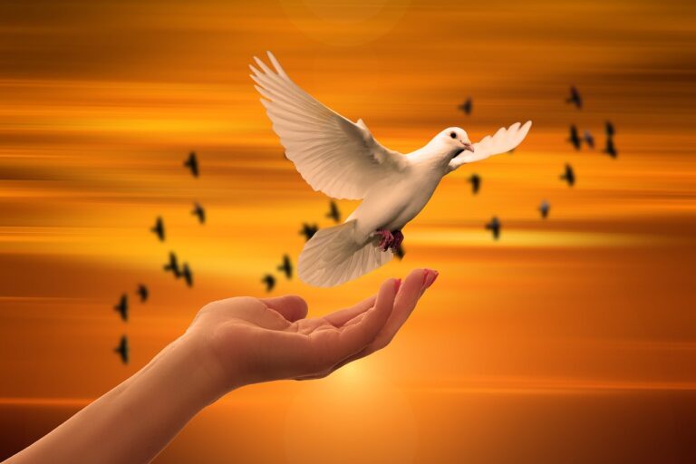 Migration: A Path towards “Salvation” 🕋